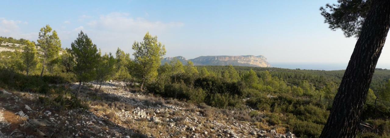 דירות קסיס Le Mimosa מראה חיצוני תמונה